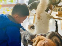 -平行世界·猫咖(首经贸店)