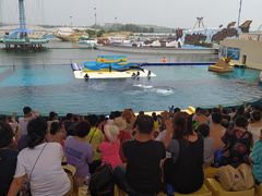 -秦皇岛乐岛海洋王国