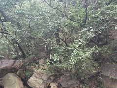 -连云港云龙涧原生态风景区