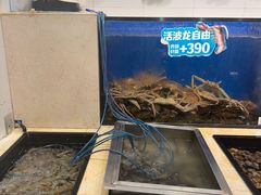 -第六季自助餐厅(北太平庄店)