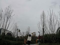 -盐官日光域房车营地·有盐餐厅