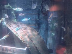 -沈阳海洋探索中心