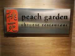 -桃苑(华侨银行大厦店)