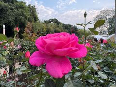 -人民公园(罗湖区)