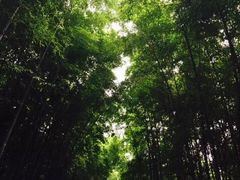 -楼外楼(玉泉店)