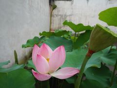-南浔古镇