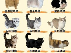 -安安宠医·臻爱宠物医院·宠保定点(营门口路分院)
