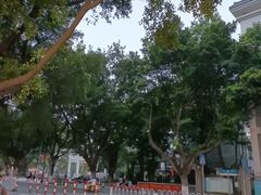 -广州市西关外国语学校小学部