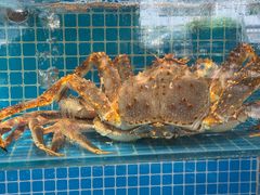 -启东小海鲜(庄先湾路1号店)
