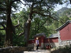 -北京上方山国家森林公园