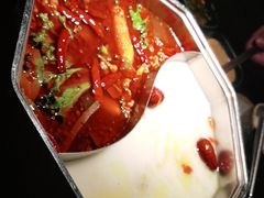 -新草堂锅物料理(泉城路店)