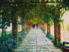 -北京张裕爱斐堡酒庄