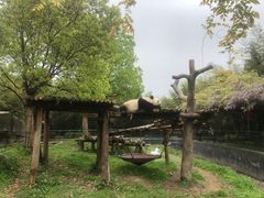 -宁波野生动物园