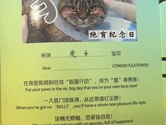 -美联众合动物医院·24h转诊中心