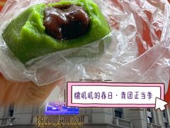 -沈大成(南京东路店)