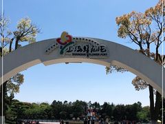 -上海鲜花港