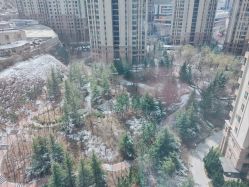 -大连市妇女儿童医疗中心(希望广场儿童院区)