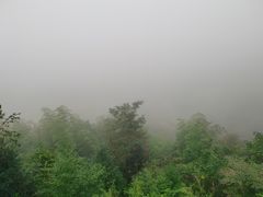 -紫鹊界梯田景区