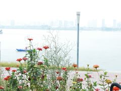 -游心咖啡(青山滨江店)