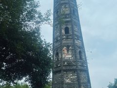 -上海佘山国家森林公园天马山园