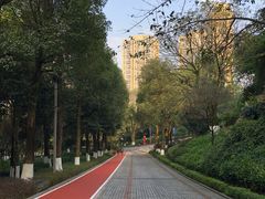 -龙头寺公园