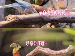 -正佳极地海洋世界