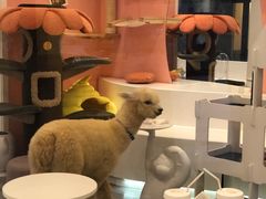 -糖房咖啡(南锣鼓巷店)