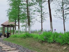 -春花秋色城市公园