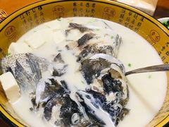 -全乐鱼馆·淳牌有机鱼直营店