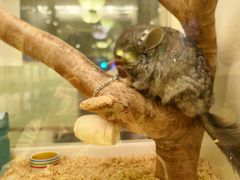 -龙猫仔乐园(惠福东路店)