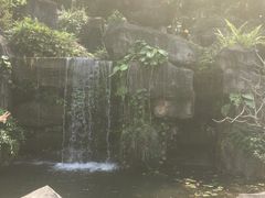 -广州神农草堂中医药博物馆