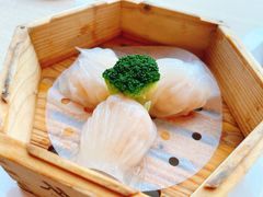 -顺德美的万豪酒店-万豪中餐厅