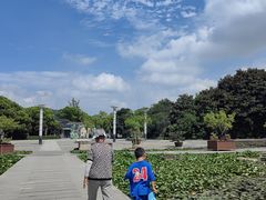 -白马涧龙池景区