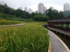 -龙头寺公园