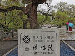 -北陵公园