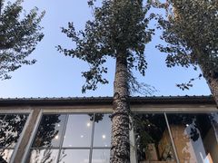 -VOYAGE COFFEE 咖啡烘焙工坊店(798艺术区店)