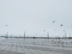 -东港音乐喷泉广场
