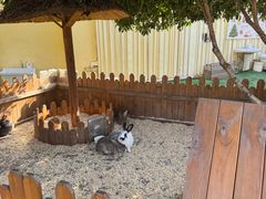 -HERRE·FARM 赫尔露营农场·团建聚会包场