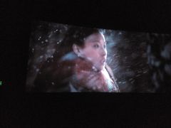 -万达影城(潍坊万达广场IMAX店)