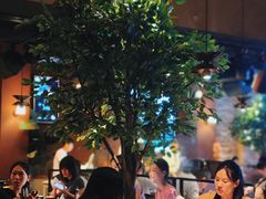 -同仁四季椰子鸡(宝安壹方城店)