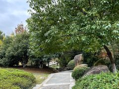 -白马涧龙池景区