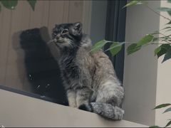 -青藏高原野生动物园