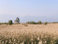 -野鸭湖国家湿地公园