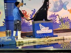 -太平洋海底世界