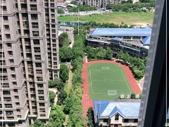 -红领巾学校