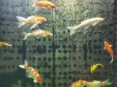 -弘安丽水温泉酒店