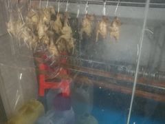 -石岐乳鸽村(桥观坊南四巷店)