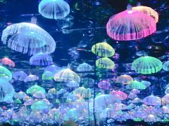 -武汉5D星空错觉艺术馆(中心百货店)