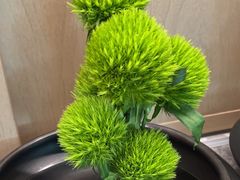 -海立阁海鲜江浙菜(漕河泾印象城店)