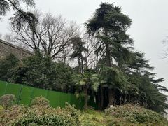 -南京城墙景区
